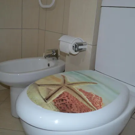 Seashell Art Decor & Private Garage