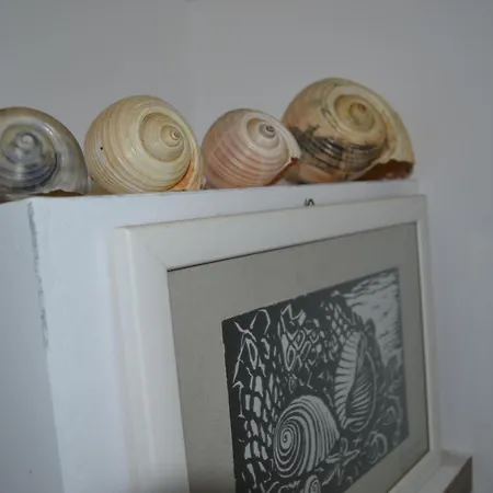 Seashell Art Decor & Parking