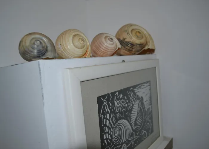 Seashell Art Decor & Private Garage