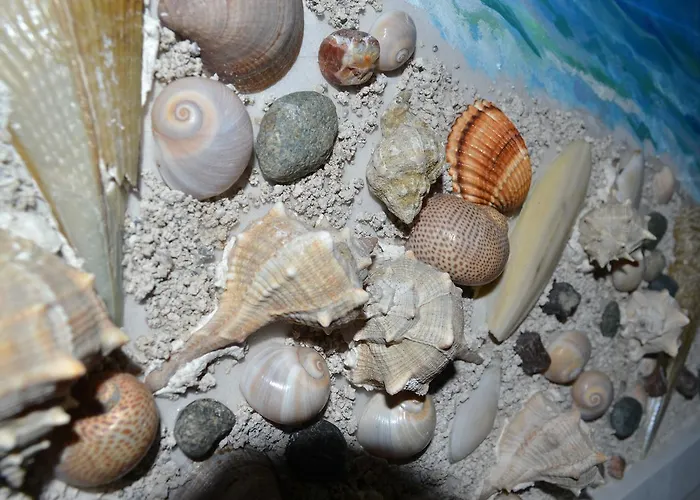 Seashell Art Decor & Private Garage * Avlonya